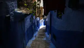 酒香蒸汽体验之旅