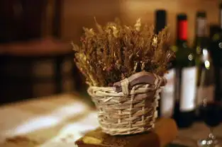 蒸汽时光酒肆