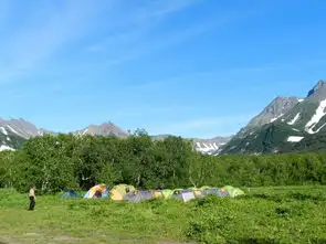 蒸汽森林游戏完成要求