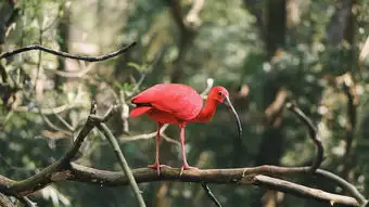富豪阶层热流动态