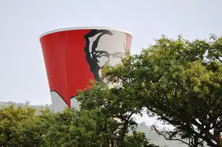 肯德基蒸汽炸鸡体验