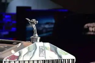 豪华品牌线上热潮