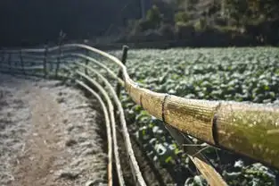 绿意盎然蒸汽森林之旅
