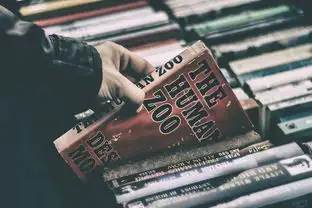 蒸汽部落联盟