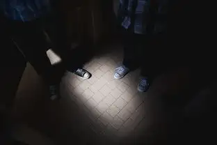 蒸汽平台特性概述