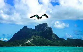 蒸汽山谷秘境之旅