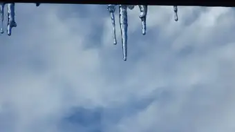 闪耀的团队之光