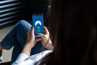 网络加速器——Steam专用代理