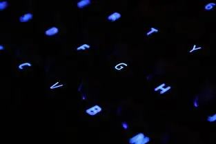 Steam成人游戏分类