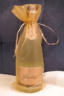 蒸汽时代中的探索者