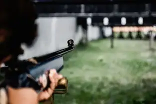 畅享射击乐趣：Steam平台上的枪战体验