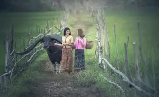 蒸汽版生存竞技