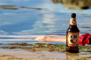 蒸汽啤酒坊体验之旅