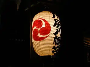 数字蒸汽时代唱片之旅